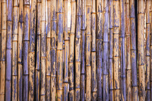 Purple Bamboo Background Texture 