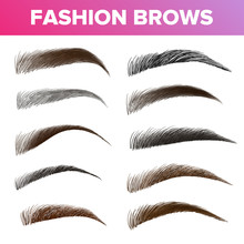 Fashion Brows Various Shapes And Types Vector Set. Brown And Black Brows Pack. Beautician Parlor, Salon Sign Isolated Design Element. Beauty Industry. Trendy Eyebrows Realistic Illustration
