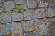 colorful oil puddle on cobblestone