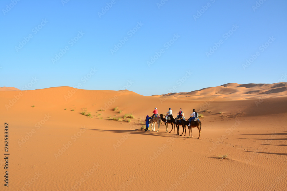 pustynia, Sahara Zachodnia, Maroko - obrazy, fototapety, plakaty 