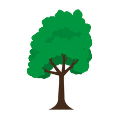 Sticker - tree plant isolated icon