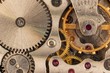 Rear view of on clockwork. Mechanical watch closeup