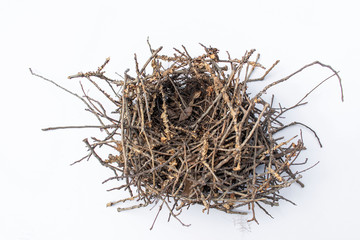 isolated empty bird's nest with little shadow on white background