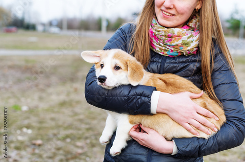 Young Woman With Long Hair Holding Small Corgi Dog Outdoors Buy