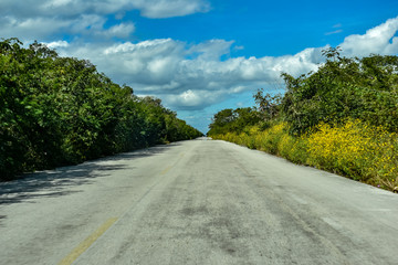 Wall Mural - Road in Yucatan Mexico