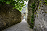 Fototapeta Na drzwi - Gardens of Ravello Italy