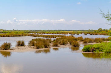 Poster - Regional Nature Park of the Camargue