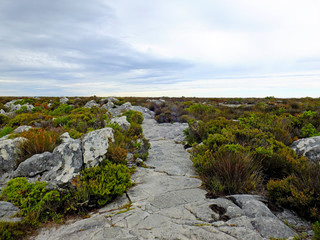 Poster - Table Mountain, Cape town, South Africa