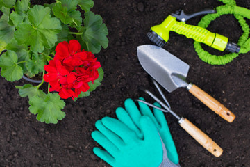 Gardening tools - top view