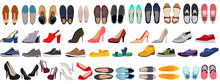 Vector, Isolated, Set Of Men's And Women's Shoes