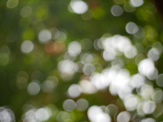 abstract green background with bokeh