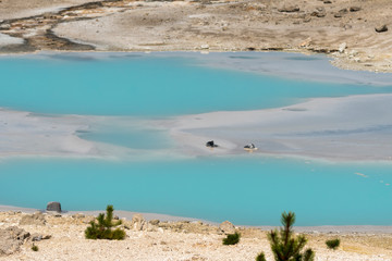 Fountain Paint Pot trail between gayser, boiling mud pools and burnt trees in in Yellowstone National Park  in Wyoming