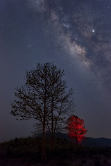 Wall Mural - milky way