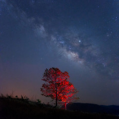 Wall Mural - milky way