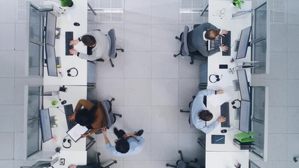 Poster - Aerial Top Down Drone Shot of Big Busy Corporate Office with Tow Rows off Businessmen and Businesswomen Working on Desktop Computers. Bright Open Space Office with Businesspeople and Salespeople