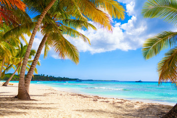 Vacation summer holidays background wallpaper - sunny tropical exotic Caribbean paradise beach with white sand in Seychelles Praslin island Thailand style with palms and rocks