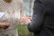 Putting ring in bride's hand