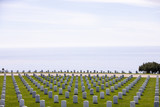 Fototapeta Kwiaty - rows of tombstones next to ocean