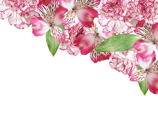 Fotomurales - Beautiful floral background of alstroemeria and carnations. Isolated
