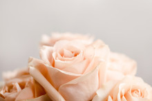 Pale Pink Rose Bouquet