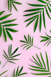 © Ruth Black/Stocksy - Palm leaf background