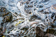 © blurMEDIA/Stocksy - Thin swirling surface ice as spring thaw melts lake