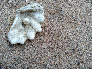 Shells and pearls in the sand. Shell with a pearl on a beach sand. An open sea shell with a pearl inside. Shell with a pearl.