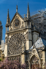 Wall Mural - Notre-Dame