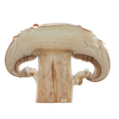 Fresh button mushrooms in a cut isolated on white. 100-percent sharpness.