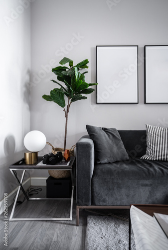 Cozy Living Room Corner With Dark Gray Velvet Fabric Sofa