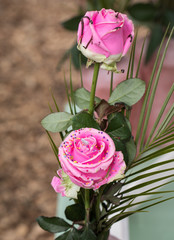 Wall Mural - Close up of pink rose flower with colorful decorations