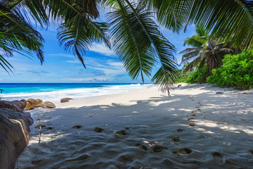 beautiful paradise beach, anse bazarca, seychelles 10