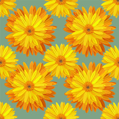 Wall Mural - Seamless pattern with yellow flower vector illustration