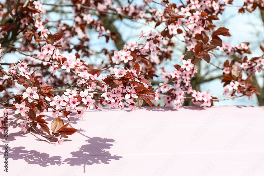 Beautiful blossoming branches and wooden table outdoors