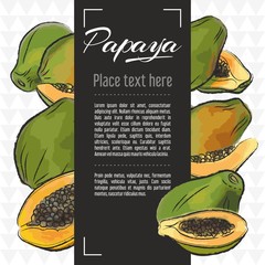 Wall Mural - Papaya fruit vector menu design templates. Vector fruit illustration with hand drawn doodles for greeting card, banner	