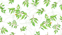 Fresh Spring Leaves. Botanical Background, Laurel, Ficus, Tea. Watercolor Seamless Pattern. The Idea Of Cover, Invitation, Booklet, Printing.