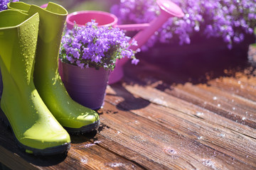 Wall Mural - Gardening tools and spring flowers on the terrace in the garden