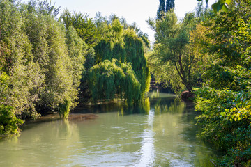 Natural park of the Sile river in Italy