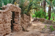 gaj palmowy, Maroko