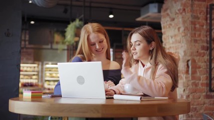 Wall Mural - Tracking right medium shot of two joyful young women working on laptop at table in cafe. Two young female friends enjoying doing business online
