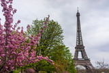 Fototapeta Boho - Paris, France, 2019: Eiffel Tower in sunny spring day in Paris, France