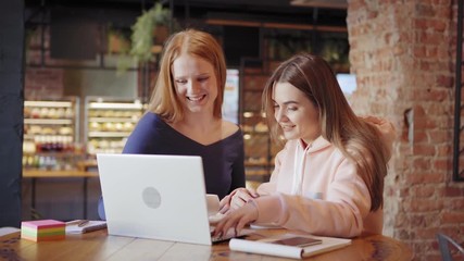 Wall Mural - Tracking right medium shot of two cheerful female friends working on laptop together in cafe. Two young entrepreneurs doing business online