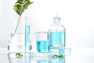 Wall Mural - herbal medicine natural organic and scientific glassware, research and development concept.