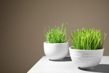 Bowls With Fresh Wheat Grass On Table Against Color Background, Space For Text