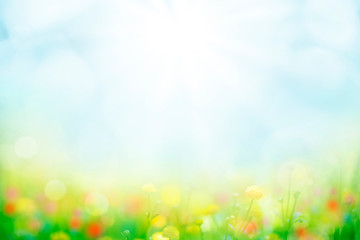 abstract background with green grass and flowers over sunny blue sky