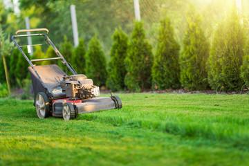 Lawn mower cutting green grass in sunlight