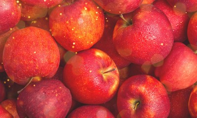 Canvas Print - Red ripe apples, food background