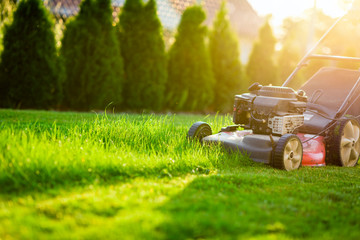 Lawn mower cutting green grass in sunlight