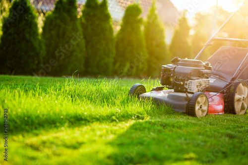 Cuadros en Lienzo Lawn mower cutting green grass in sunlight