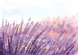 Fototapeta Lawenda - Lavender field watercolor painted on paper